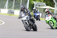 BIKES 1637