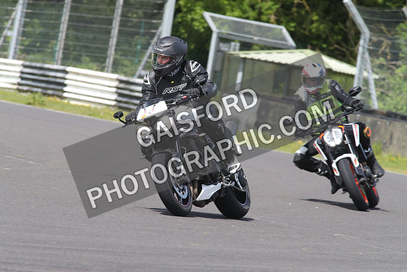 BIKES 1666