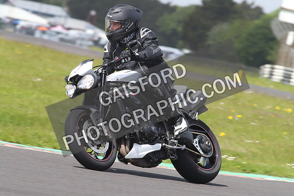 BIKES 1667