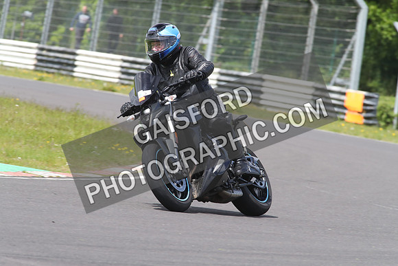 BIKES 1694