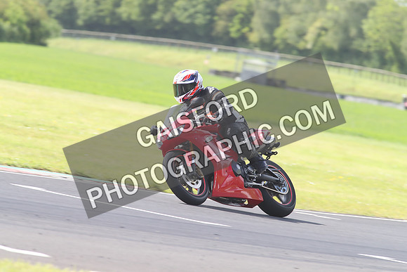 BIKES 1371