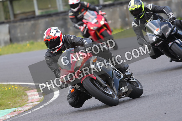 BIKES 0981