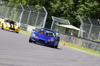 LOTUS 1652