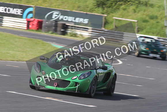 LOTUS 1366