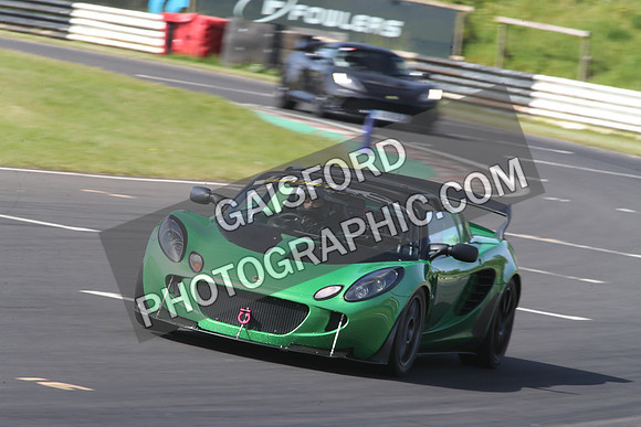 LOTUS 1391