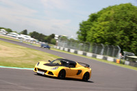 LOTUS 0438