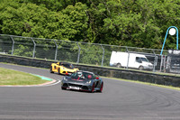 LOTUS 0469