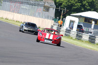 LOTUS 1101