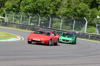 LOTUS 0308