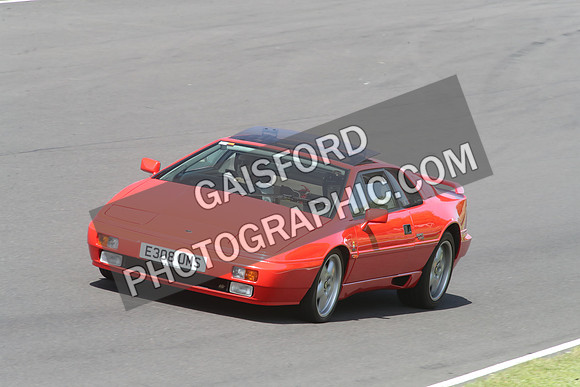 LOTUS 2384