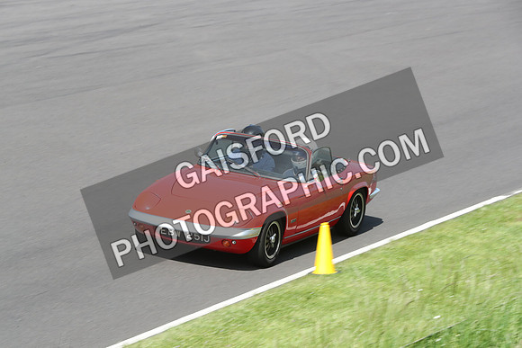 LOTUS 2163