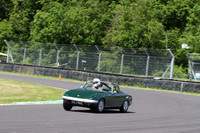 LOTUS 0518