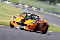 LOTUS 1036