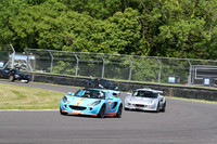 LOTUS 0379