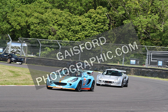 LOTUS 0379