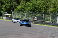 LOTUS 0291