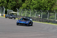 LOTUS 0292