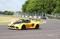LOTUS 0253