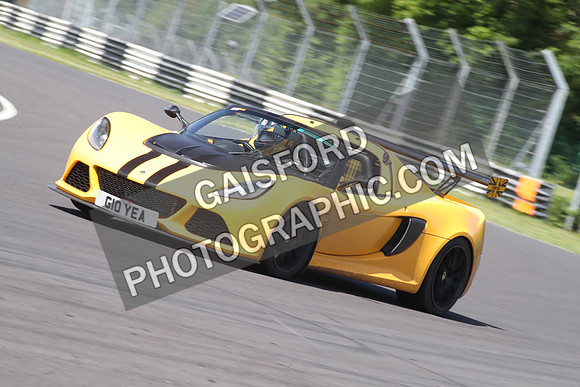 LOTUS 1516