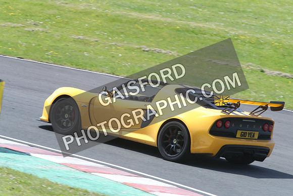 LOTUS 2381