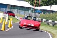 LOTUS 1076