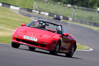 LOTUS 1116