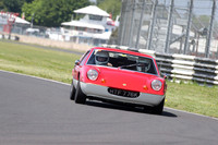 LOTUS 1196