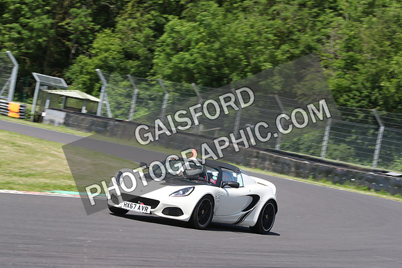 LOTUS 0355