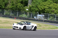 LOTUS 0391