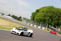 LOTUS 0424