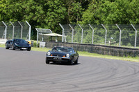 LOTUS 0229