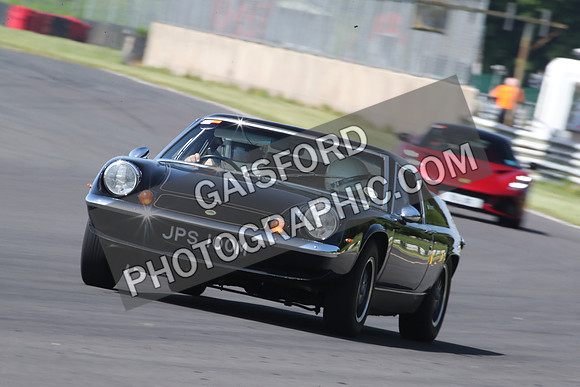 LOTUS 1118
