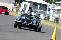 LOTUS 1117