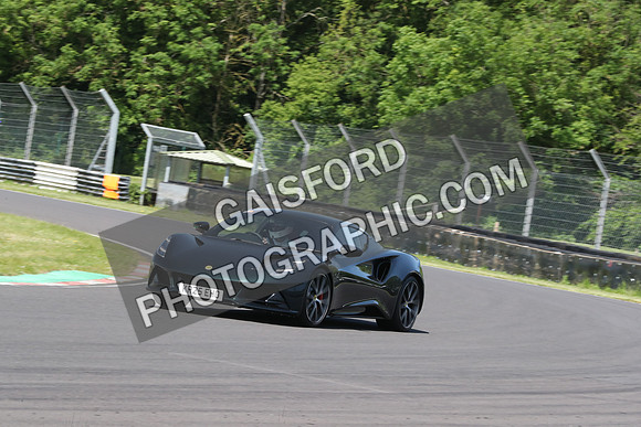 LOTUS 0241