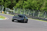 LOTUS 0318
