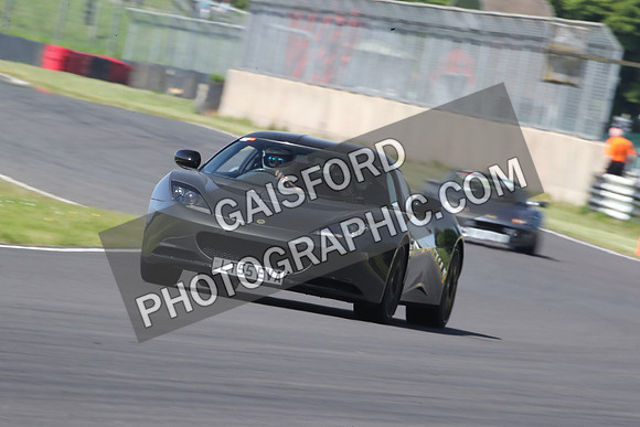 LOTUS 1037