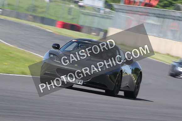 LOTUS 1038