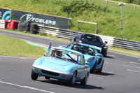 LOTUS 1487