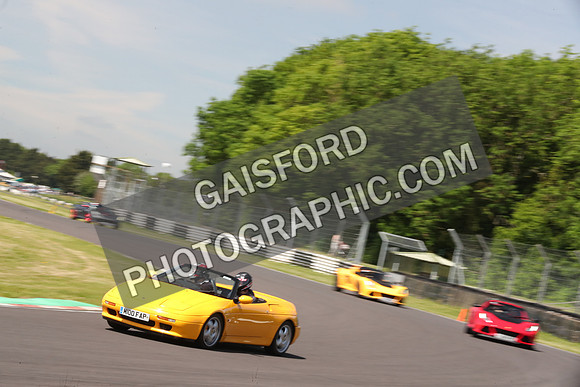 LOTUS 0436