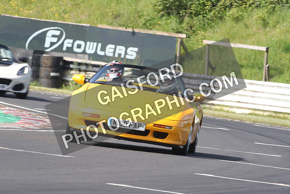 LOTUS 0689