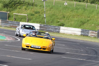 LOTUS 1341