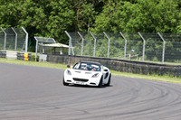 LOTUS 0232