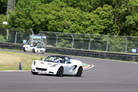 LOTUS 0388