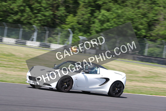 LOTUS 0389