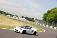 LOTUS 0428