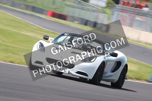 LOTUS 1137