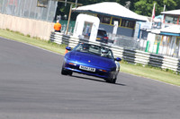 LOTUS 1017