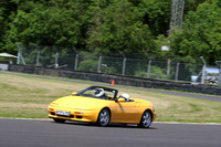 LOTUS 0533