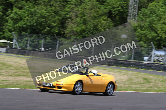 LOTUS 0533