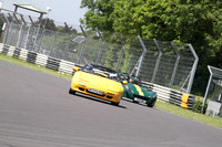 LOTUS 1655